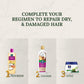 Parachute Advansed Coconut & Argan Shampoo – Damage Repair Pack of 2