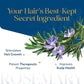 HerbsIndia Rosemary Essential Hair Oil with Glass Dropper – Pack of 2
