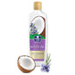 Parachute Advansed Coconut & Rosemary Anti-Dandruff Shampoo Pack of 2