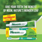 Neem Active Natural Toothpaste 200g  Plaque & Tartar Care (4 Pack)