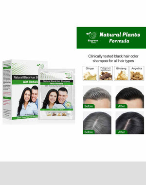 Biogreen Black Hair Color Shampoo 20 Pouches with Gloves Color Protecting
