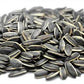 Sunflower Seed Oil & Roasted Sunflower Seeds pack of 5– Natural Oil Seeds