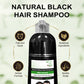 Black Color Shampoo for Gray Hair Coverage – Sulfate Free, Paraben Free, Anti Hair Loss