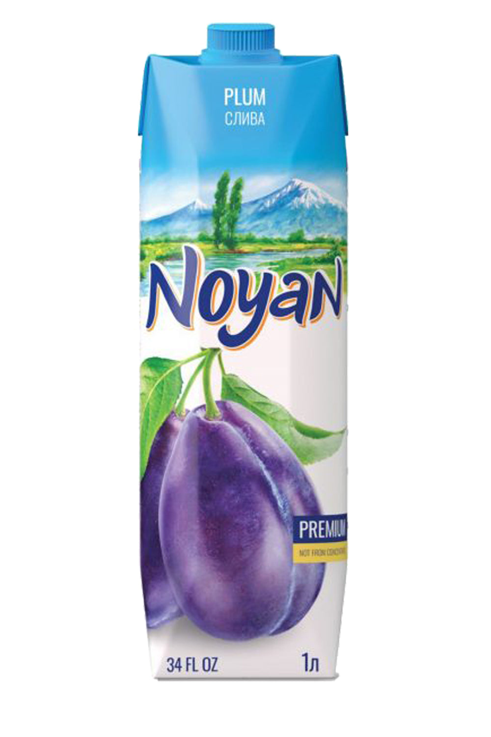 Plum Nectar Juice pack of 4– Tasty Natural Juice Drink | Fresh & Healthy Juice Option